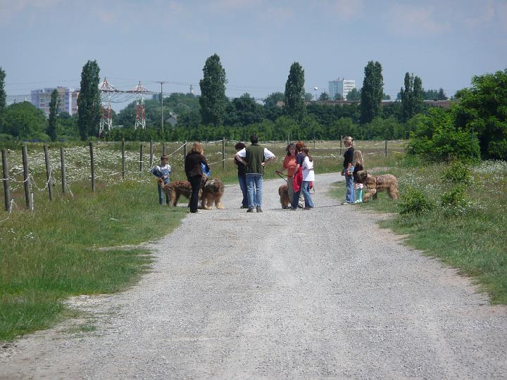 P1000424.JPG