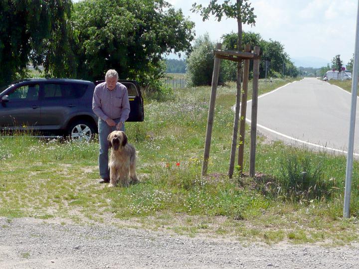 P1000431.JPG