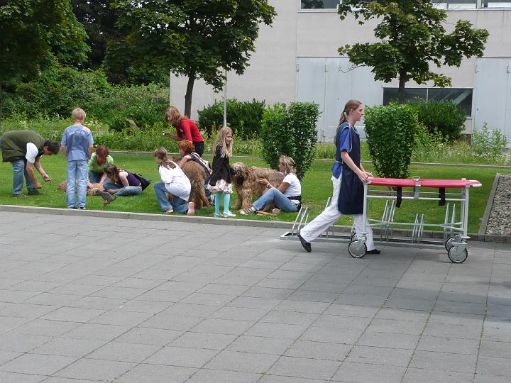 P1000432.JPG