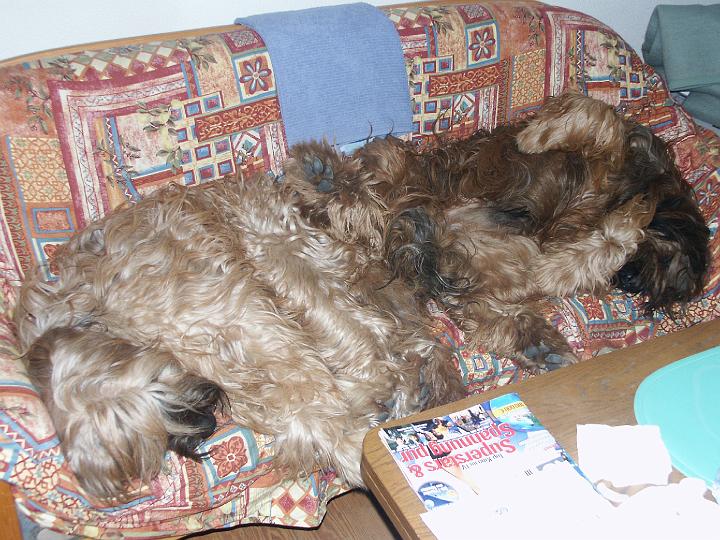 PICT4270.JPG