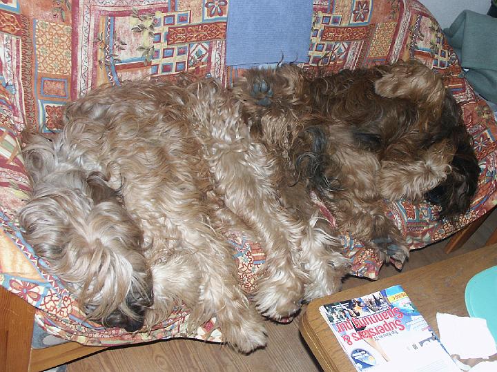 PICT4271.JPG