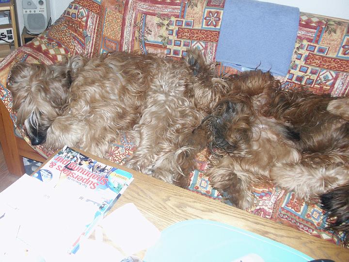 PICT4282.JPG